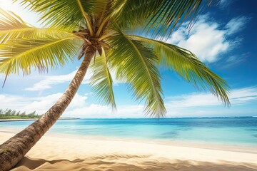Palm Trees on Beach: Stunning Summer Holiday Beach Background