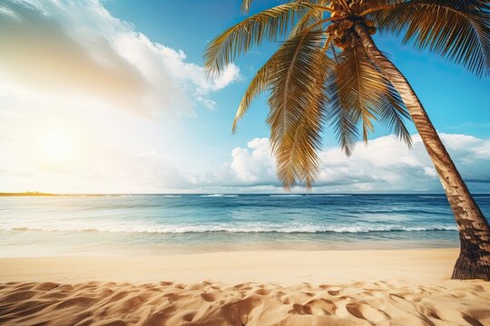 Beach Holiday: Stunning Palm Trees on Summer Beach Background