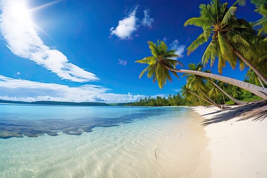 Sunny Day Beach: Tropical Paradise with White Sand and Coco Palms - A Breathtaking Image of Tranquility