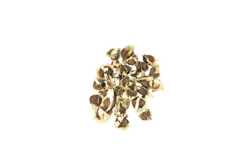 Dried moringa seeds