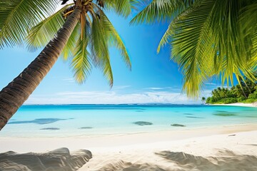 Vacation Travel Holiday Beach Banner Image: Stunning Palm Trees on Beach Await Your Tropical Getaway