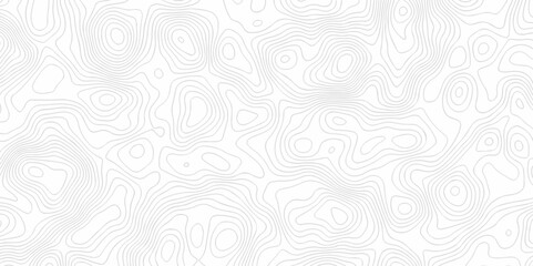 Abstract background with waves Topographic map. Geographic mountain relief. Abstract lines background. Contour maps. Vector illustration, Topo contour map white background, Topographic contour line.