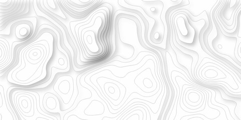 Background lines Topographic map. Geographic mountain relief. Abstract lines background. Contour maps. Vector illustration, Topo contour map on white background, Topographic contour lines.