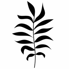 decorative leaf silhouette. Simple stencil. on a white background, Setok vector illustration