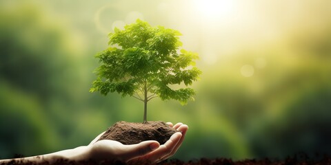 Person's hand holding a tree growing on the ground, including green background, tree planting idea and Earth Day