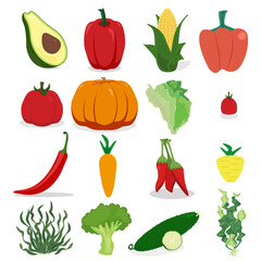 Avocado Bell, spicy red and chilli peppers carrot lettuce corn tomato pumpkin seaweed cucumber lettuce Vegetable set vector illustration design