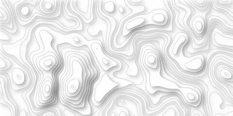 Background lines Topographic map. Geographic mountain relief. Abstract lines background. Contour maps. Vector illustration, Topo contour map on white background, Topographic contour lines.