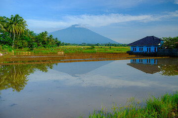 The countryside is still green and beautiful away from the hustle and bustle of the city.