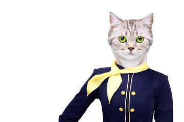 Portrait of a beautiful cat wearing a stewardess costume isolated on a white background