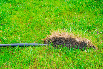 A black suspicious pipe enters the soil under the green grass. Disposal of industrial waste into the soil under the lawn. Poisoning fertile soil with waste