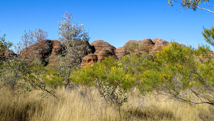 Beehive domes in the Bungle Bungle ranges (Purnululu), Western Australia