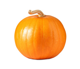 One fresh orange pumpkin isolated on white