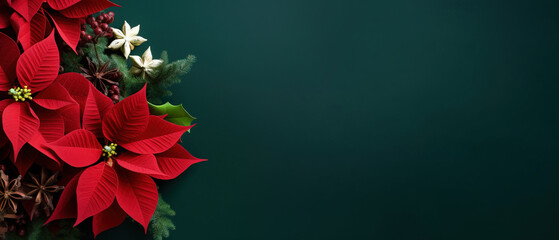 minimalistic background with poinsettia Christmas star, top view with empty copy space - obrazy, fototapety, plakaty