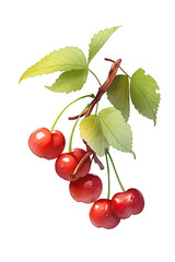 red cherries on a white background. 