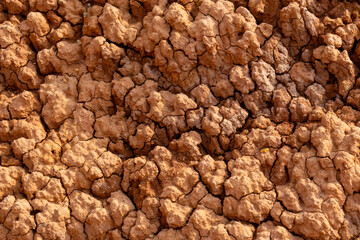 Full frame extreme closeup shot of terrain textured rock at Altai Republic