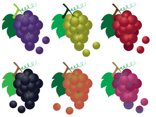  Grapes vector. Green grapes, black and red pink grape bunches 3d vector icon set. Realistic grape bunch. 3D grapes vector. Different variety of grape on white background. set of grapes.  