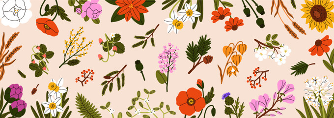 Flowers, botanical background. Blossomed floral plants, branches. Nature backdrop design, delicate gentle multicolored blooms, leaves. Beautiful wildflowers pattern. Colored flat vector illustration - obrazy, fototapety, plakaty