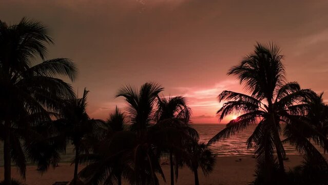 Move aerial footage. Silhouette of palm trees on beach at colorful sunset time . 