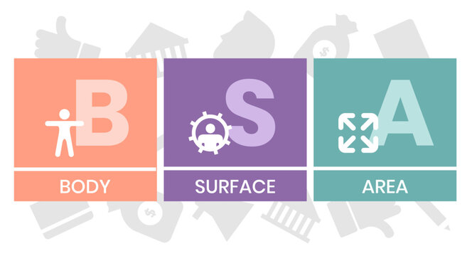 BSA - Body Surface Area acronym. business concept background. vector illustration concept with keywords and icons. lettering illustration with icons for web banner, flyer
