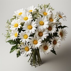 Fototapeta premium Bouquet Daisies Flowers ,Hd, On White Background