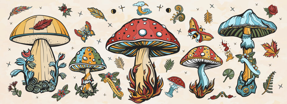 Mushrooms. Old school tattoo vector collection. Autumn forest, fly agaric, mushroom grebes, boletus. Traditional tattooing style