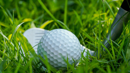 Golf club and golf ball close up in grass field with sunset.