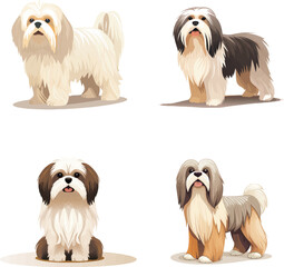 Lhasa Apso dog breed collection in many action. Graphic resource about set for vector
