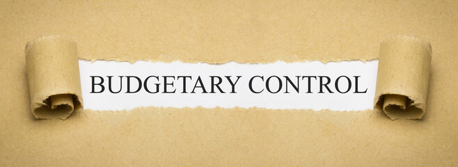 Budgetary Control