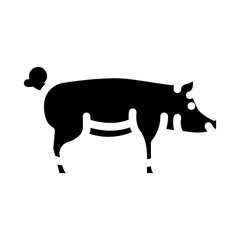 duroc pig breed glyph icon vector. duroc pig breed sign. isolated symbol illustration