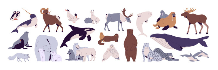 North animals set. Polar bear, owl, arctic fox, tern, snow leopard, sheep, narwhal, orca, antarctic deer. Wild Greenland, Scandinavia, tundra inhabitant. Flat isolated vector illustration on white © Paper Trident