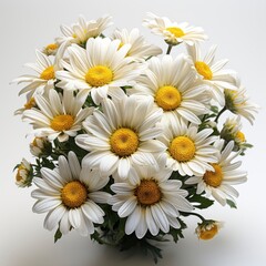 Realistic Spring Chamomile Daisy Flowers ,Hd, On White Background