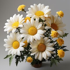 Realistic Spring Chamomile Daisy Flowers ,Hd, On White Background