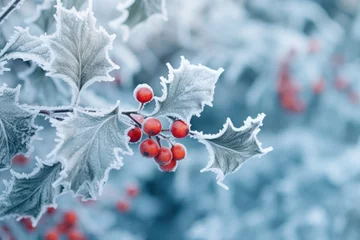 Fotobehang frosted holly berry on blurr winter background © krissikunterbunt