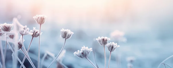 Foto op Plexiglas blurry garden background winter landscape © krissikunterbunt