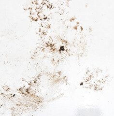 dirty animal paw prints on a white background.