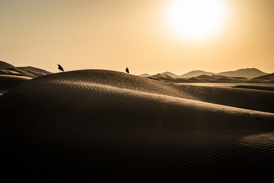 View of sand dunes and crows in the Rub-al Khali desert in Oman.