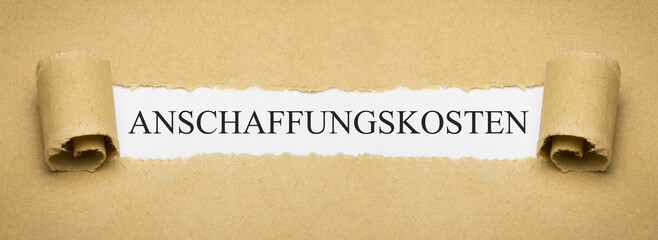 Anschaffungskosten 