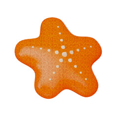 Starfish Summer 3d realistic render icon isolated on white background.  Clipping path.