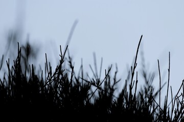 Black and white abstract wallpaper