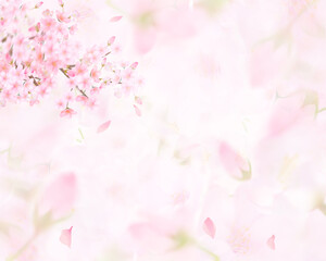 薄いピンク色の桜の花と花びら舞い散るクローズアップ背景素材イラスト - obrazy, fototapety, plakaty