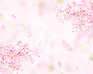 Fototapeta na wymiar 薄いピンク色の桜の花と花びら舞い散るクローズアップ背景素材イラスト