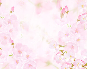 薄いピンク色の桜の花と花びら舞い散るクローズアップ背景素材イラスト