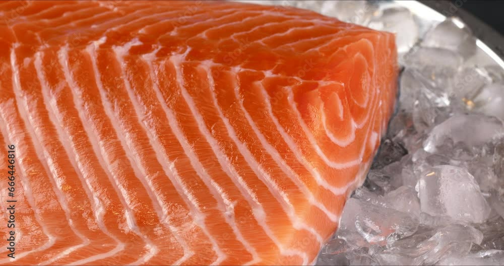 Sticker salmon on a tray with ice on a dark background. close-up footage on the rotating table.