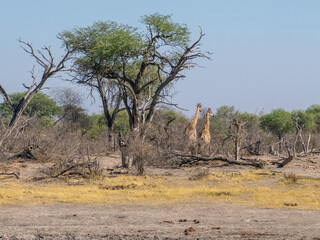 Botswana