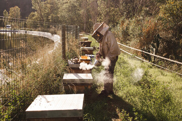 Beekeeper wearing protective suit using bee smoker near beehive in apiary