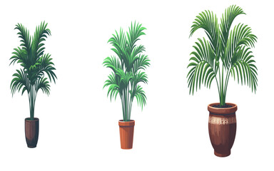 Obraz premium Palm tree in the pot, Vector Illustration on a transparent background 