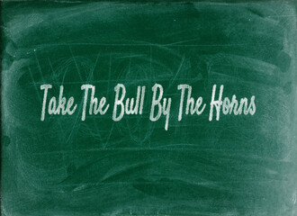 Take The Bull By The Horns Essential Business English Phrases and Idioms
