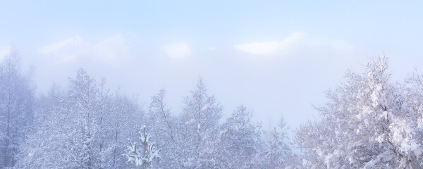 Obraz na płótnie Canvas Foggy snow winter Pirin mountains, Bulgaria