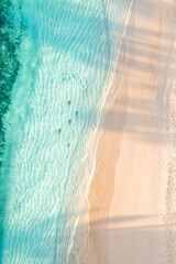Amazing aerial top view of exotic beach. sunlight palm shadows. Reef sharks hunting in shallow sea...