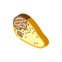 mangoes rotten food isometric icon vector. mangoes rotten food sign. isolated symbol illustration